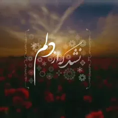 نشد چاوشی