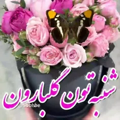 سلام صبحتون زیبا 🌷