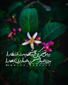 جایت ای گُلِ نرگس دَرین خزان خالی‌ست