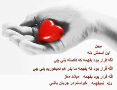 دلم نمی فهمه