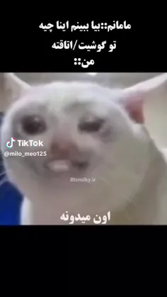 اون میدونه 😂😂😂