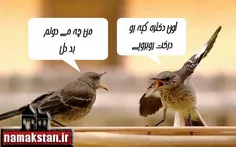 یکی بیاد اینارو جدا کنه .خخخخخخخخ