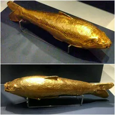 "ماهی طلایی"  گنجینه آمودریا با قدمت  2500 سال  هنر صنعت 