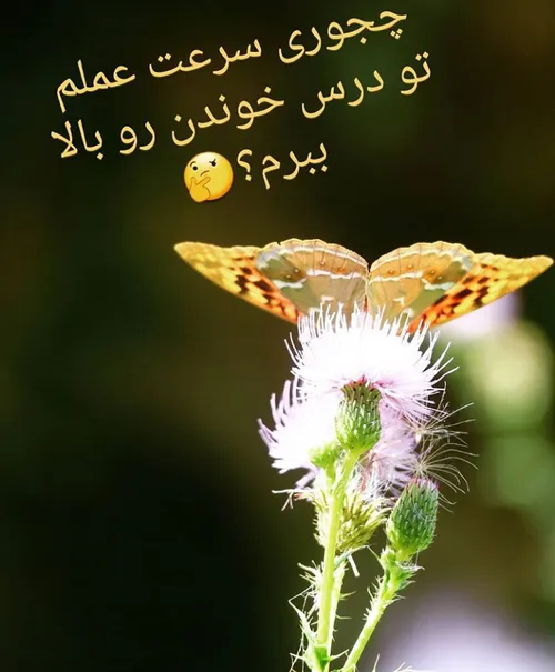 برای کنکوری ها 👇