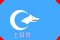 پرچم ترکستان چین خودم طراحی کردم