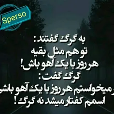 حق هی دنیا 🌹