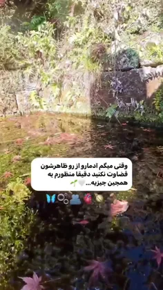 دقیقا این چیزیه که مد نظرمه......🤌