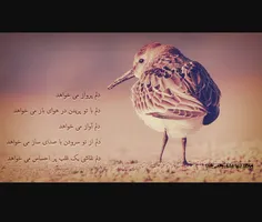 بیا باز از نو بسازیم