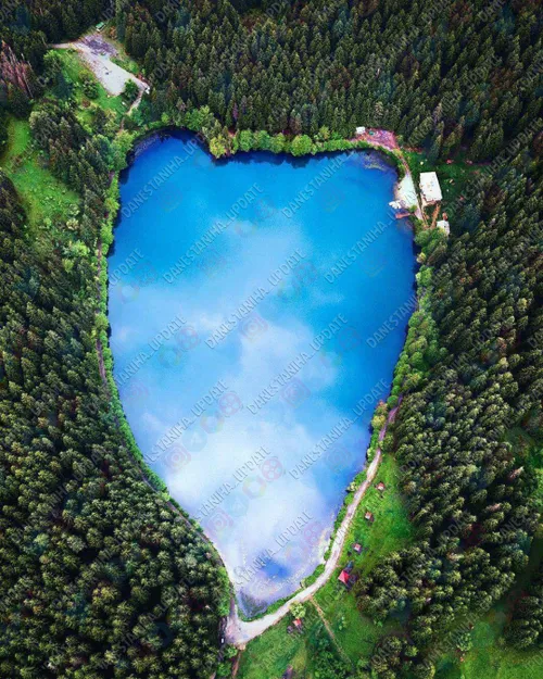 دریاچه ای زیبا در دل طبیعت سبز در استان آرتوین (Artvin) ،