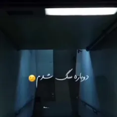 آزادی سلطان 