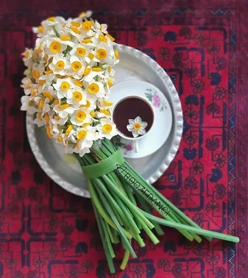 این اعجاز چایِ ☕️