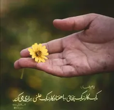 🌿 🌿 سخن از امام رئوف.. 🌿 🌿 