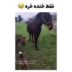 راستشو بخای جرررر خوردم 