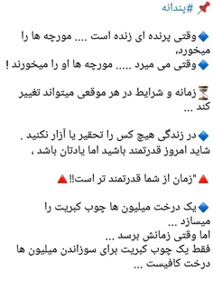 📌  #پندانه 