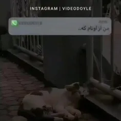 همه چی تقصیر منه!