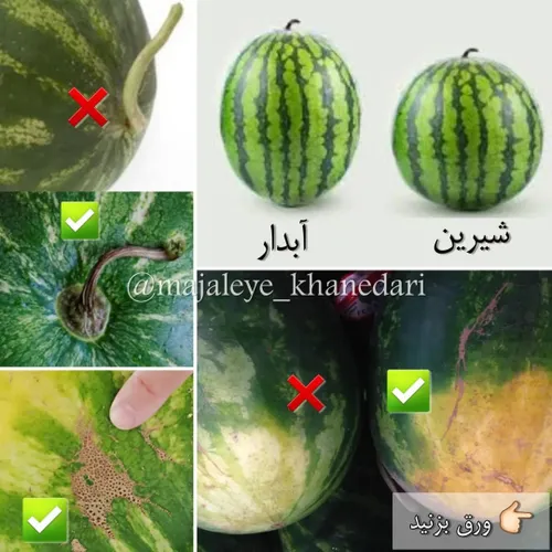 🍉نشونه اول: به جز اینایی که تو تصویر پست دیدین، چگالی هند