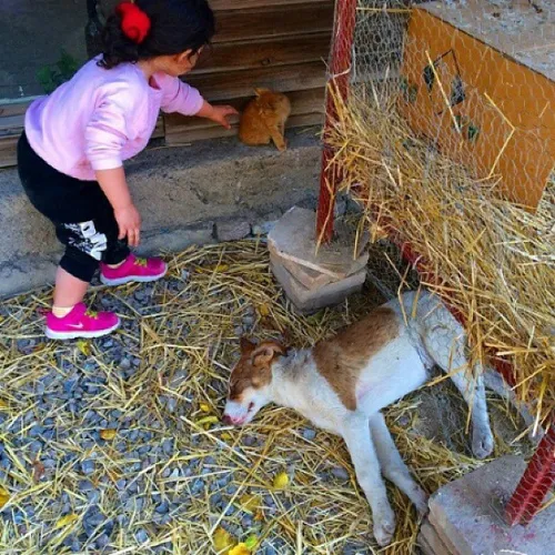 اولین روز زندگی عشقم گلبو تو مشهد...