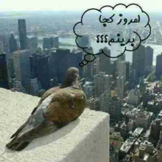 هههه