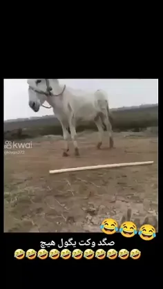 مصیوب مایریده ......؟ 😂😂😂