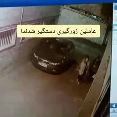 دستگیری سارقان به عنف در تهران🚨