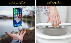 توالت منزلتان ۷ برابر از تلفن همراهتان تمیزتر است!