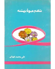 دانلود کتاب شلغم میوه بهشت - نويسنده علی محمد افغانی