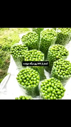 فقط یکم دیگه🤏