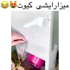 چه گوگولی