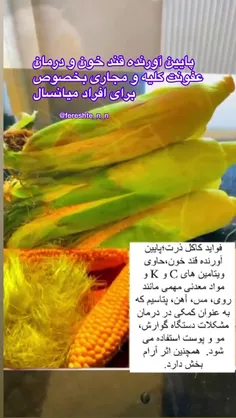 فوائد کاکل ذرت 🌽