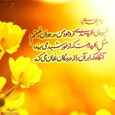 🌺 احادیث از امام مهدی(عج)....🌺