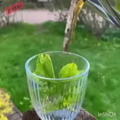 موسیقی