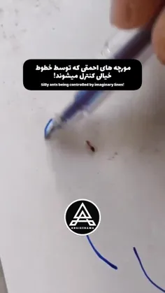 آشنا نیست براتون ... ؟! 