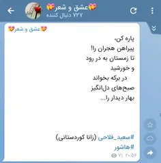 سعید فلاحی (زانا کوردستانی)