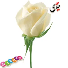 #کارت_پستال_استیکرسبد گل تقدیمی سه بعدی عکس گل جدید برای 