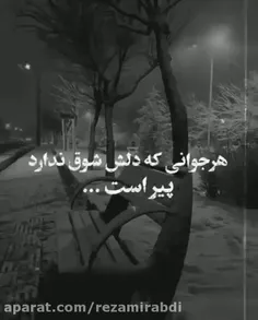 هرجوانی_که_دلش_شوق_ندارد_پیر_است🤕