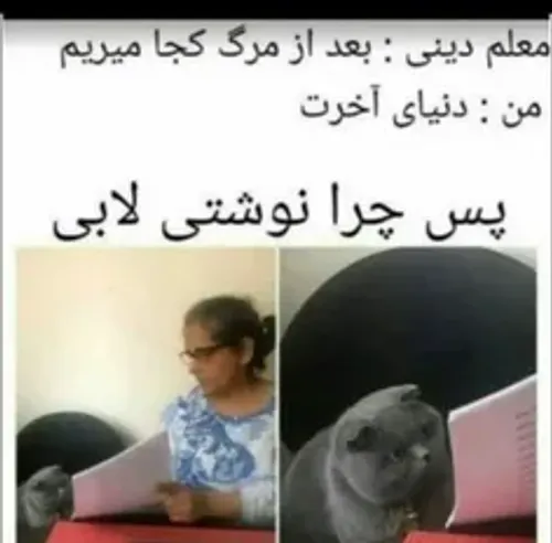 اینم ی مشت سم 😂👌