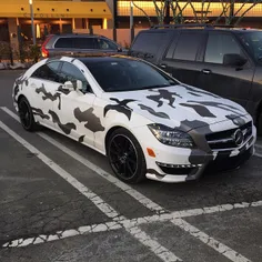 Camouflage CLS