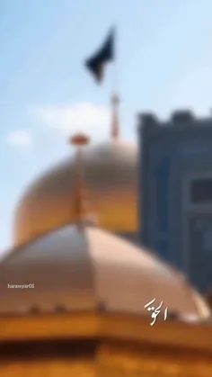 تولدت مبارک پناهی که حرمِ تو در قلب ماست و بیصدا مارا میش