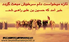 28 رجب سالروز حرکت حضرت اباعبدالله الحسین علیه السلام از 