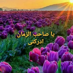 #امام_زمان عجل الله #خلیفه_الله هستن
#بهترین_مخلوق_خدا بعد از ۱۳ معصوم هستن