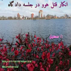 انکار قتل هوو در جلسه دادگاه