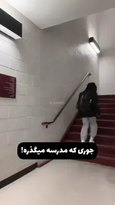 کیا دلشون برا تابستون اندازه تخم چشه مورچه شده؟😐