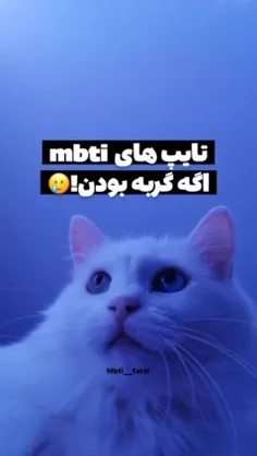 تایپ های mbti اگر گربه بودن🥲