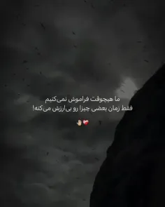 ما هیچوقت فراموش نمی‌کنیم