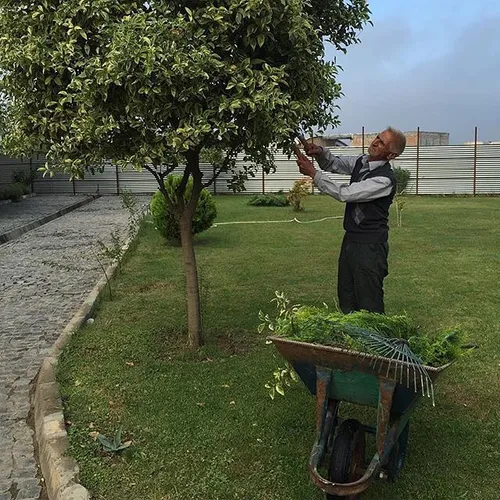 Teymour, gardener of women’s hawze (Islamic seminary) of 