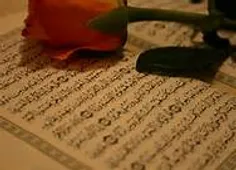 نکته های زیبای قرآن (2)