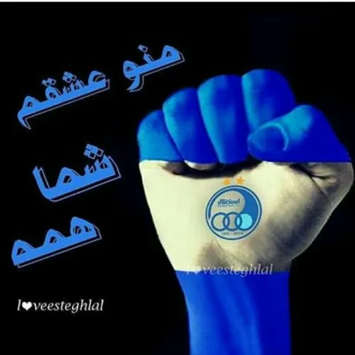 فوتبال esteghlal34 22487699 - عکس ویسگون