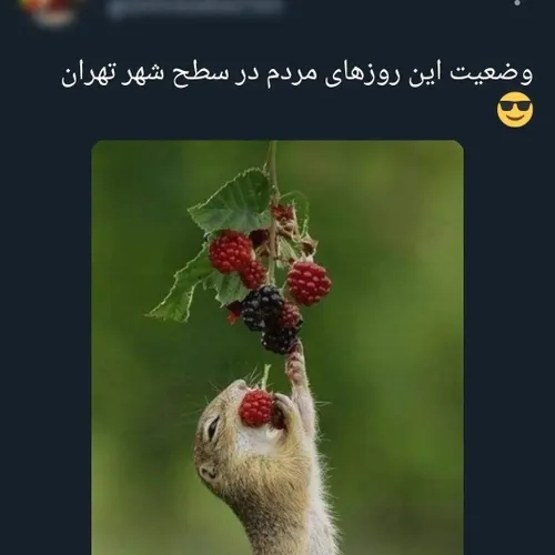 حقققق