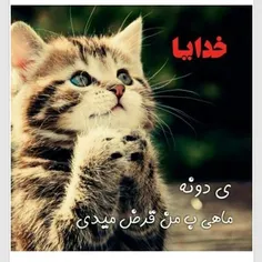 فقد ی دونه 😢 🐟