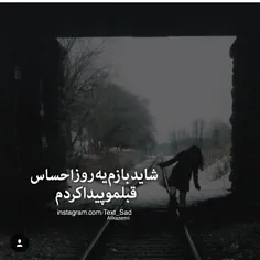 شـــــــاید....